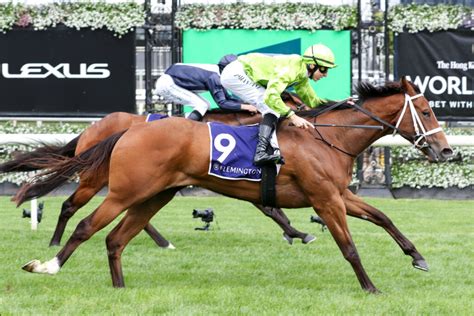 Danehill Stakes Tips, Betting Odds, Past Winners and Results.